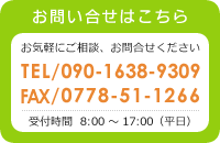 䤤礻